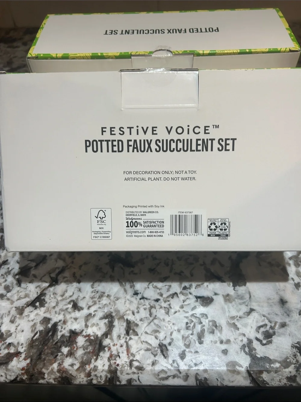 FESTIVE VOICE PITTED FAUX SUCCULENT SET NWT
